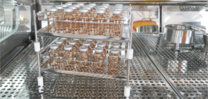 Modular Sterility Testing Isolator - vials rack